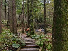 -洛阳白云山景区