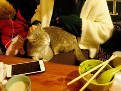 -嘎咓讓咘藏餐厅(团结新村店)