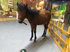 -梦幻海洋王国(吾悦广场张家港店)