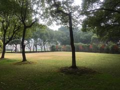 -上海交通大学医学院附属瑞金医院(总院)