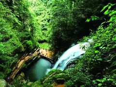-碧峰峡风景区