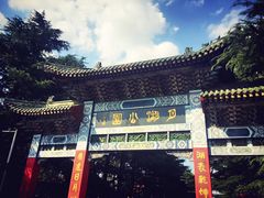 -莱西月湖公园