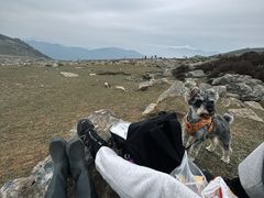 -灵山