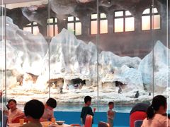 -帝企鹅自助餐厅•儿童岛•真企鹅(长隆企鹅酒店)