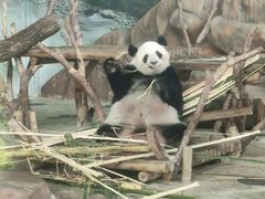-南宁市动物园