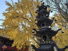 -南山风景名胜区