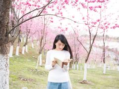 大理大学樱花写真-理想国摄影(三塔店)