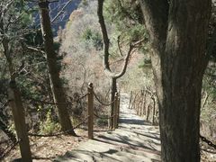 -陕西省红河谷森林公园
