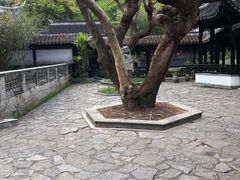 -中山詹园