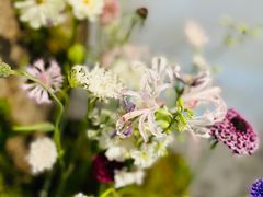 -HELEN FLORAL DESIGN(海上世界文化艺术中心店)