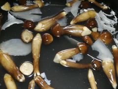 -探窝·竹笙椰子鸡(杨箕店)