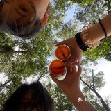 梅林山郊野径｜无楼梯爬山