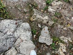 -朱雀国家森林公园