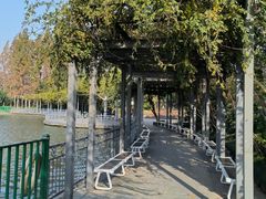 -黄兴公园