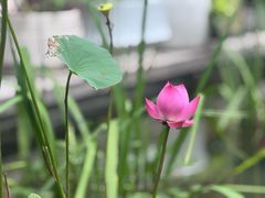 -酒蜻蜓·庭院私房菜(天元东路店)