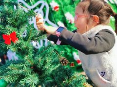 -季高兔窝窝亲子园(上海薰衣草公园店)