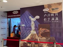 -哈根达斯(国瑞店)
