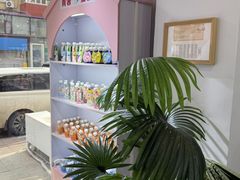 -青奢宠物·青奢猫舍