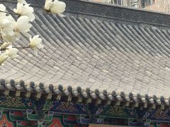 -护国法轮寺