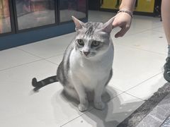 -谜盒子奇幻密室(南屏店)