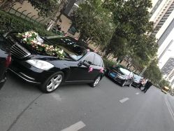 -蚂蚁婚车