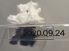 -知美术馆