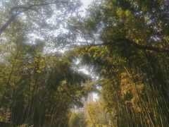 -苏州河梦清园环保主题公园