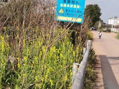 -仙海旅游度假区