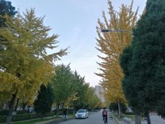 -东北大学(南湖校区)