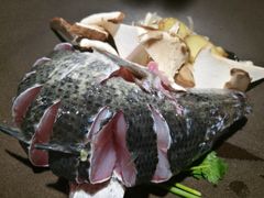 -咕嘟草帽鱼·牛奶一样的鲜鱼汤(天鹅湖万达广场店)