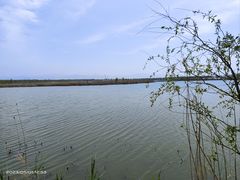 -野鸭湖国家湿地公园