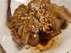 -百利鸽王(紫薇路店)