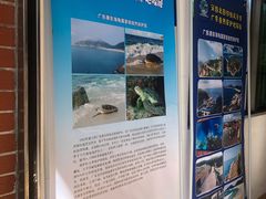 -广东惠东海龟国家级自然保护区