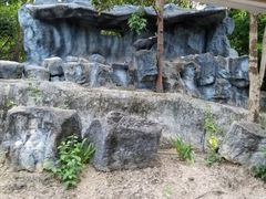-清迈夜间动物园