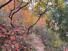 -北京十三陵国家森林公园蟒山景区