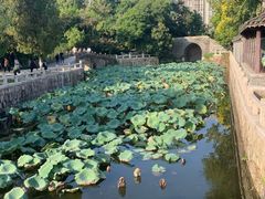 -水绘园