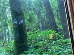 -同里国家湿地公园