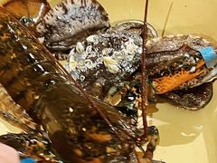 -鲜炉季港式打边炉(尚海湾店)