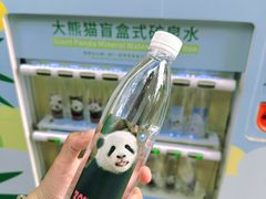 -成都大熊猫繁育研究基地