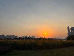 -海心沙亚运公园