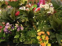 -毛家饭店(今洲广场店)