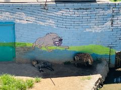 -西霞口神雕山野生动物世界