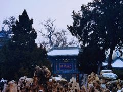 -莲池书院博物馆