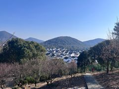 -香雪海