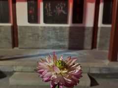 -李叔同故居纪念馆