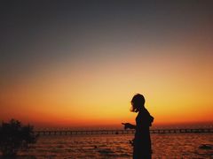 -宝安西湾红树林湿地公园