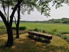 -盘龙城国家考古遗址公园