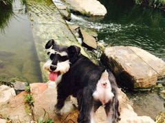 -永定河休闲森林公园