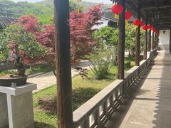-雨花胜境
