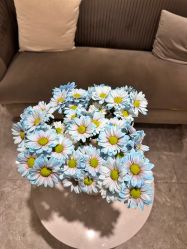 -MIDA蜜哒•科技逆龄美肤连锁